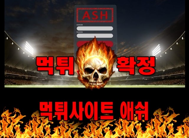 먹튀사이트 먹튀신고 애쉬 먹튀 먹튀검증 애쉬 먹튀확정 먹튀안내